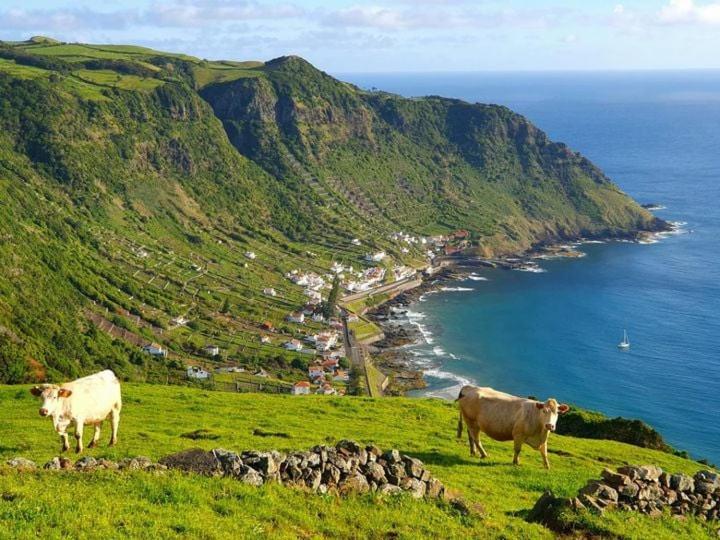Azor International House Villa Ponta Delgada Eksteriør billede